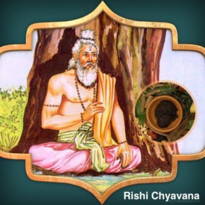 Rishi Chyavana