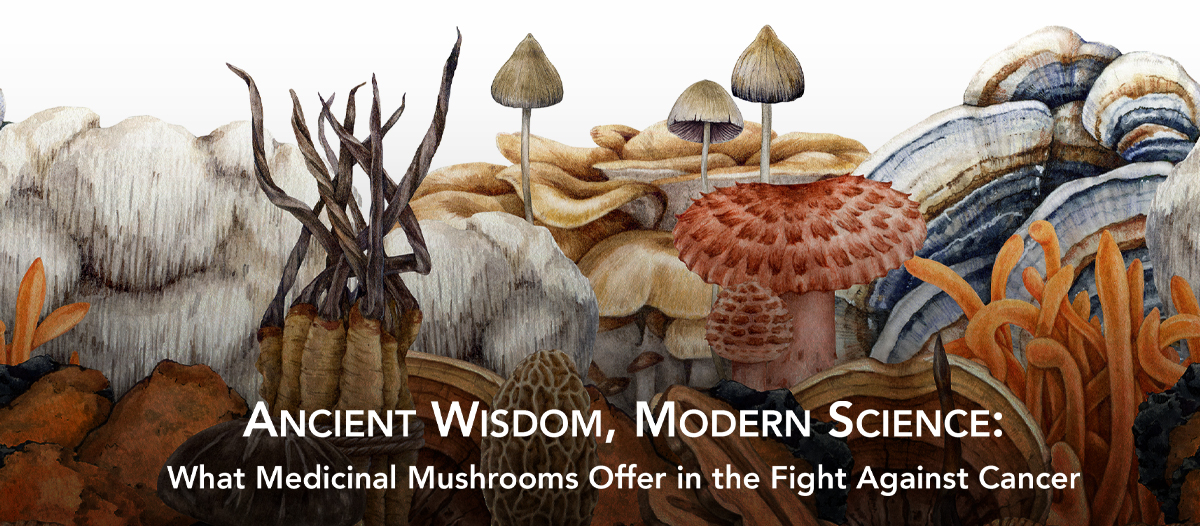 ARTICLE PAGE_mushrooms_cancer_short